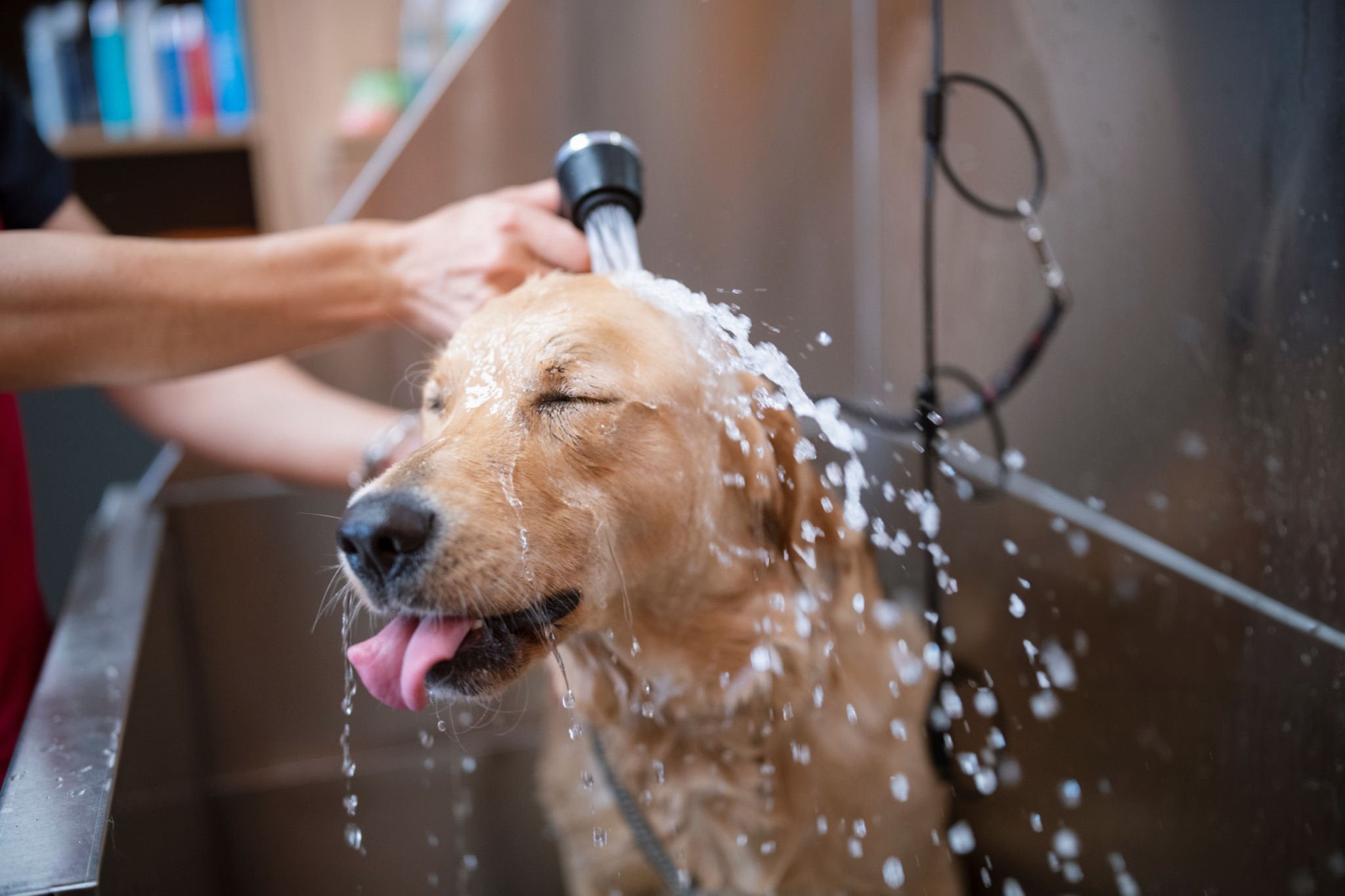 istockphoto-1277453154-2048x2048.jpg