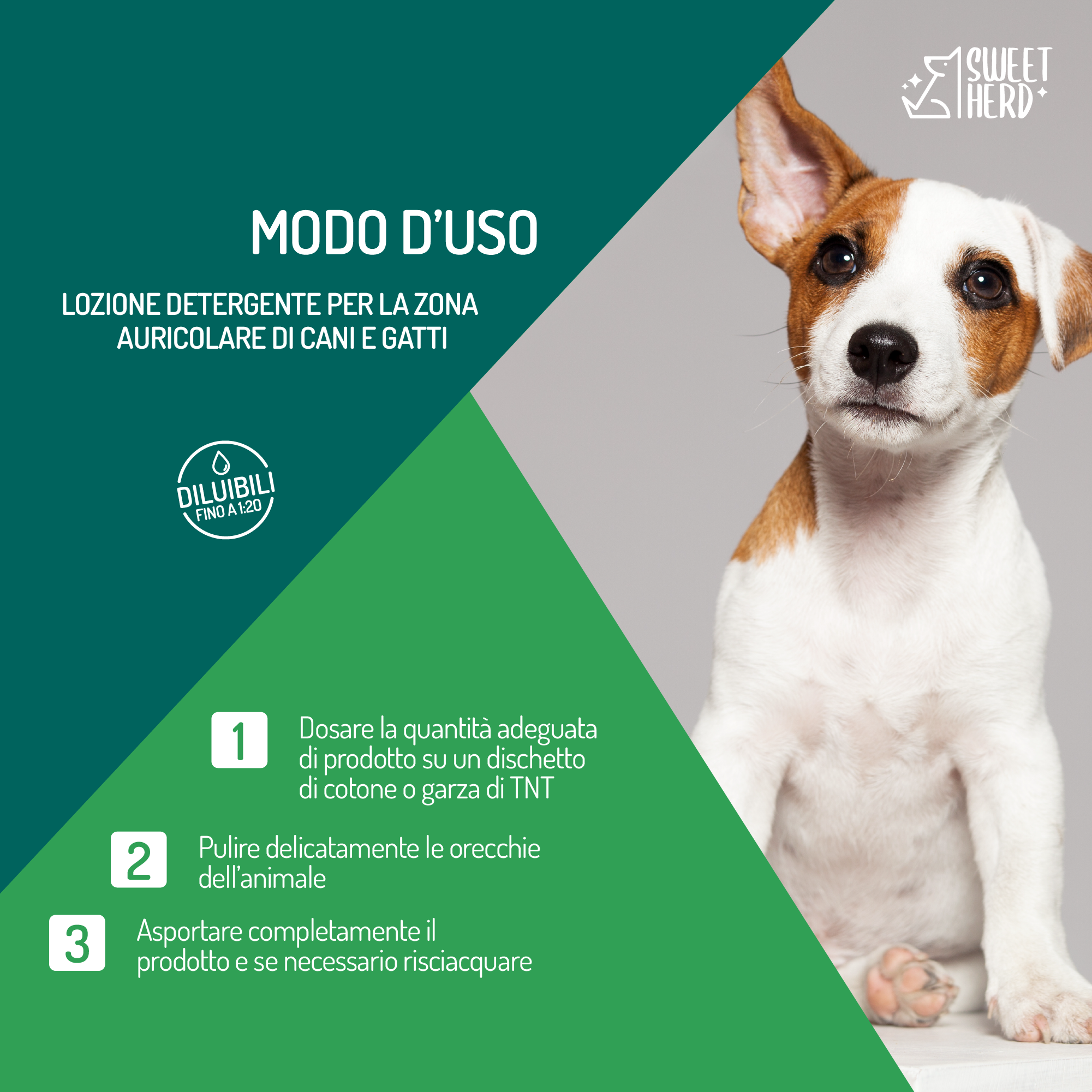 Lozione Detergente Orecchie – Cani e Gatti