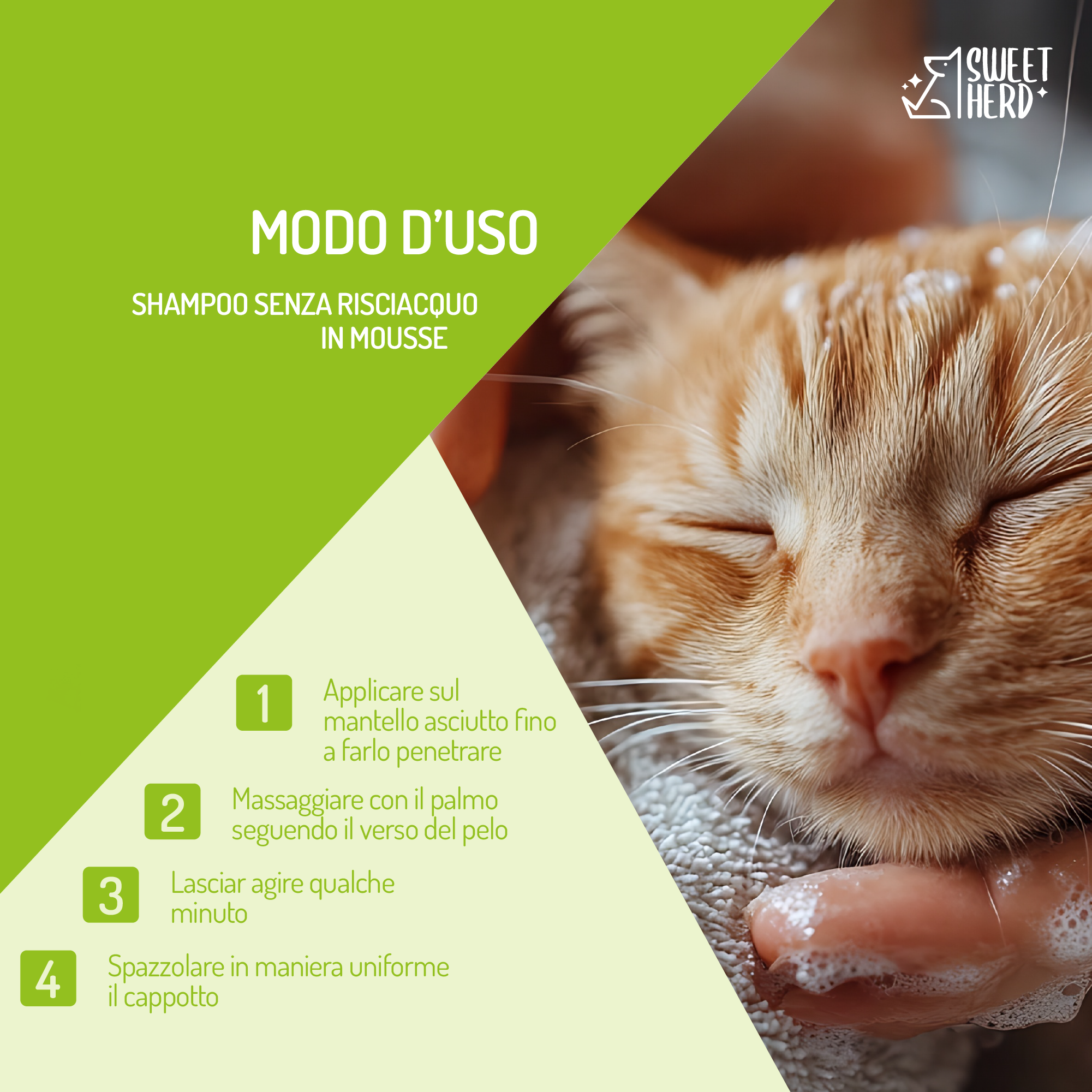 Mousse Detergente Senza Risciacquo al Talco – 100 ml – Cani e Gatti