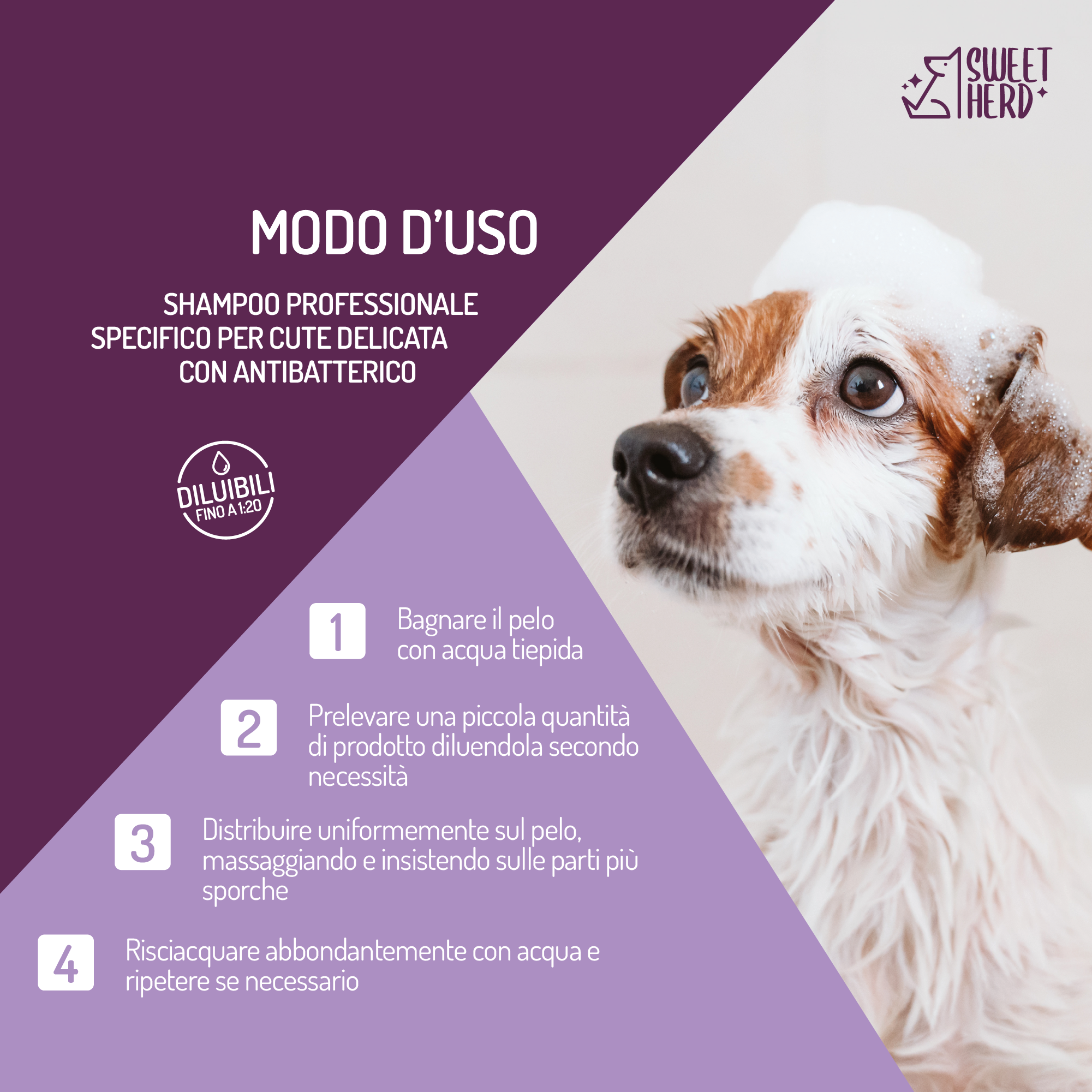 Shampoo Delicato Antibatterico con Profumo Argan – Cani