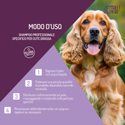 Shampoo Cute Grassa e Forfora con Profumo Eucalipto – Cani e Gatti