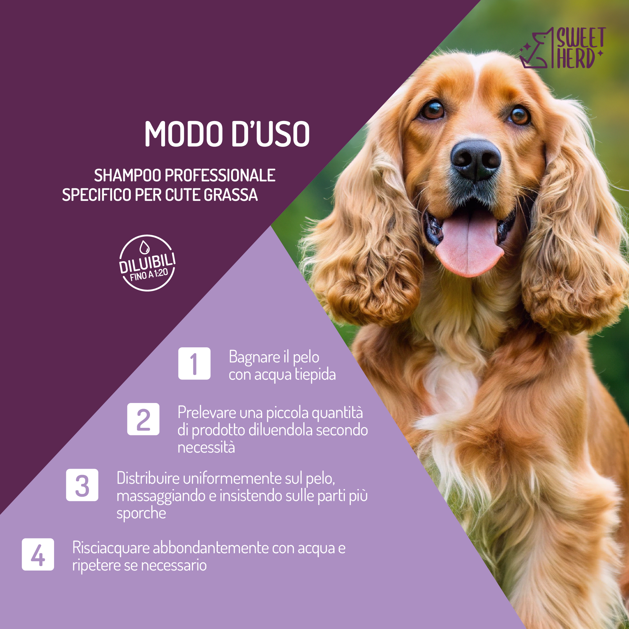Shampoo Cute Grassa e Forfora con Profumo Eucalipto – Cani e Gatti