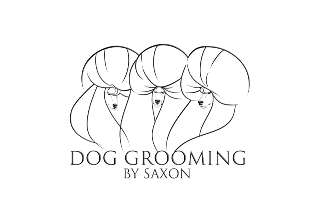 dog-grooming-saxon.jpg