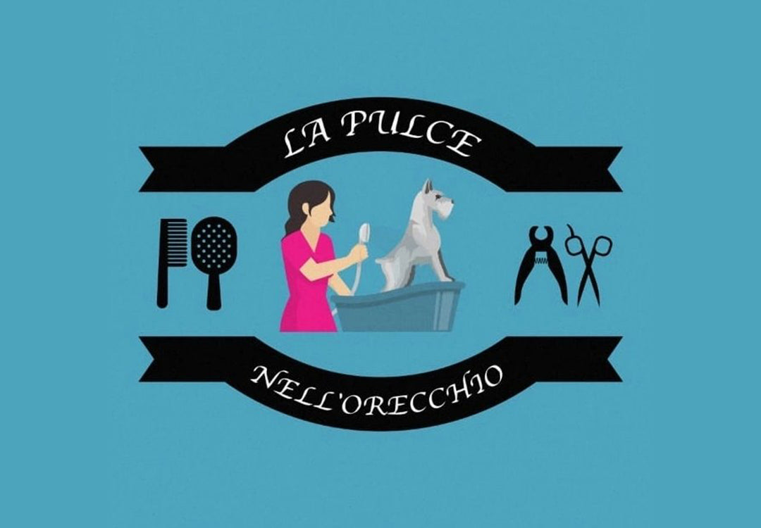 la-pulce-nell-orecchio.jpg