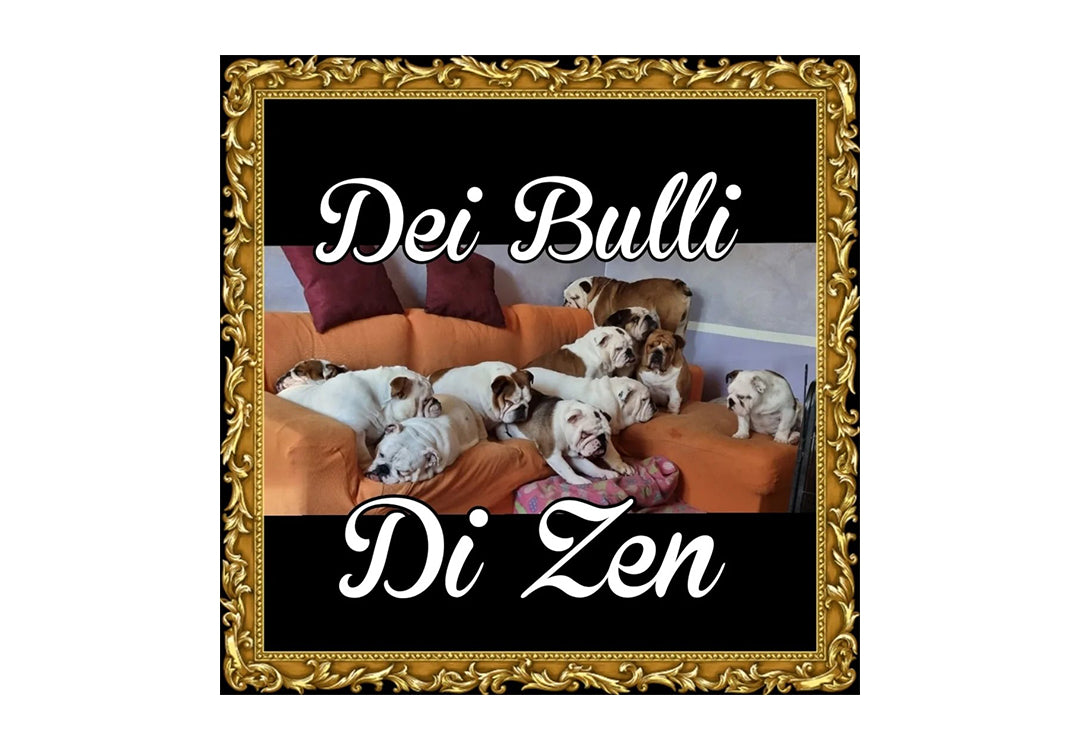 nadia-zen-dei-bulli-di-zen.jpg
