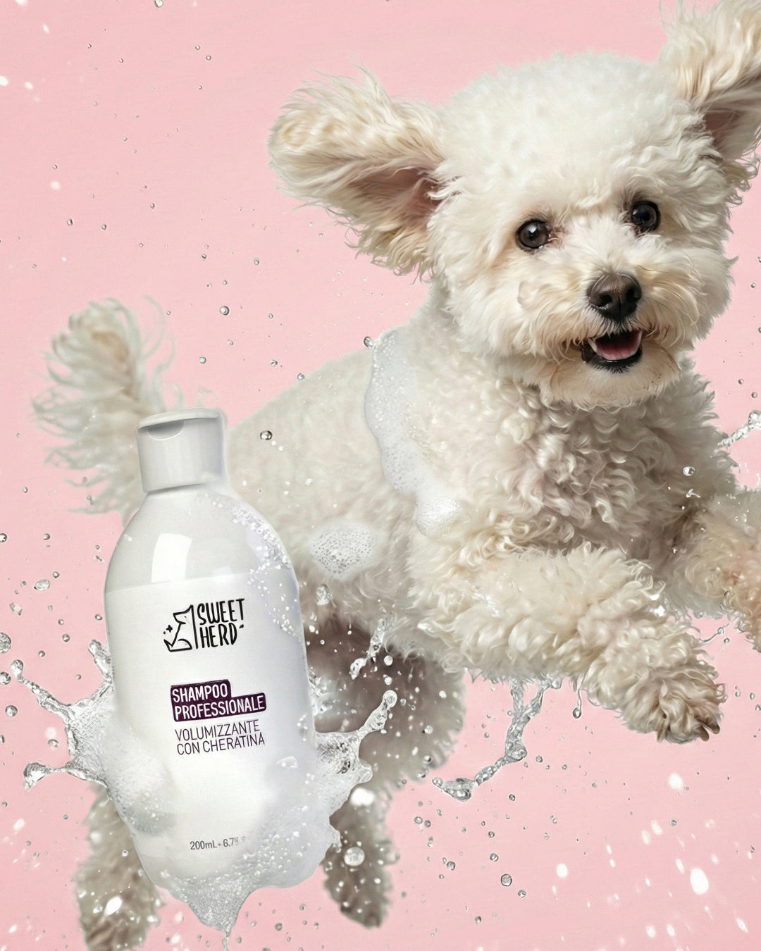 shampoo-cani.jpg