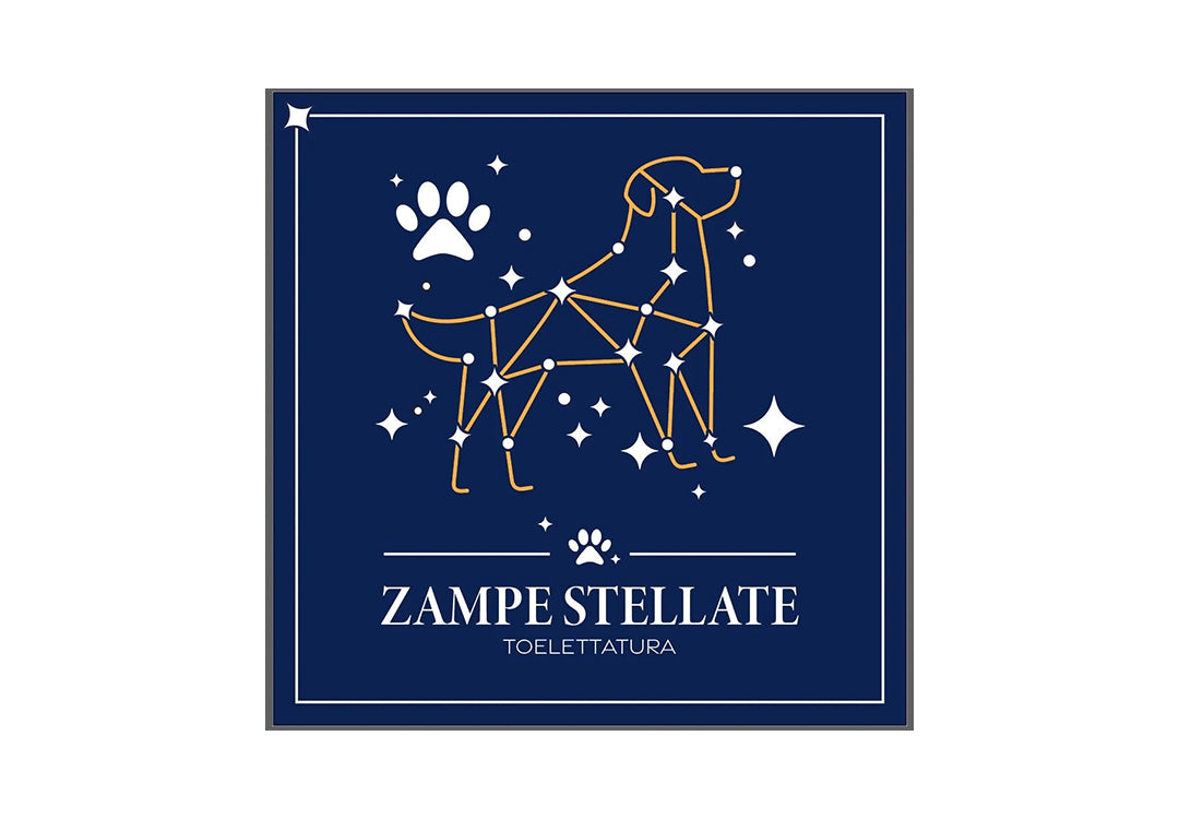 zampe-stellate.jpg